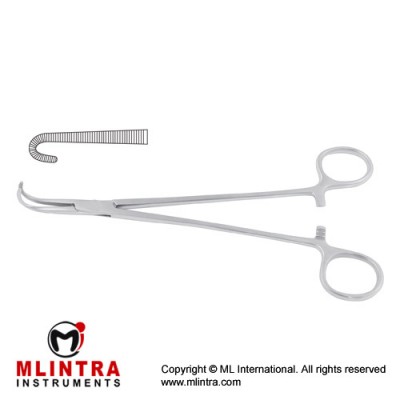 Negus Haemostatic Forceps Fig. 2 Stainless Steel, 20 cm - 8" 